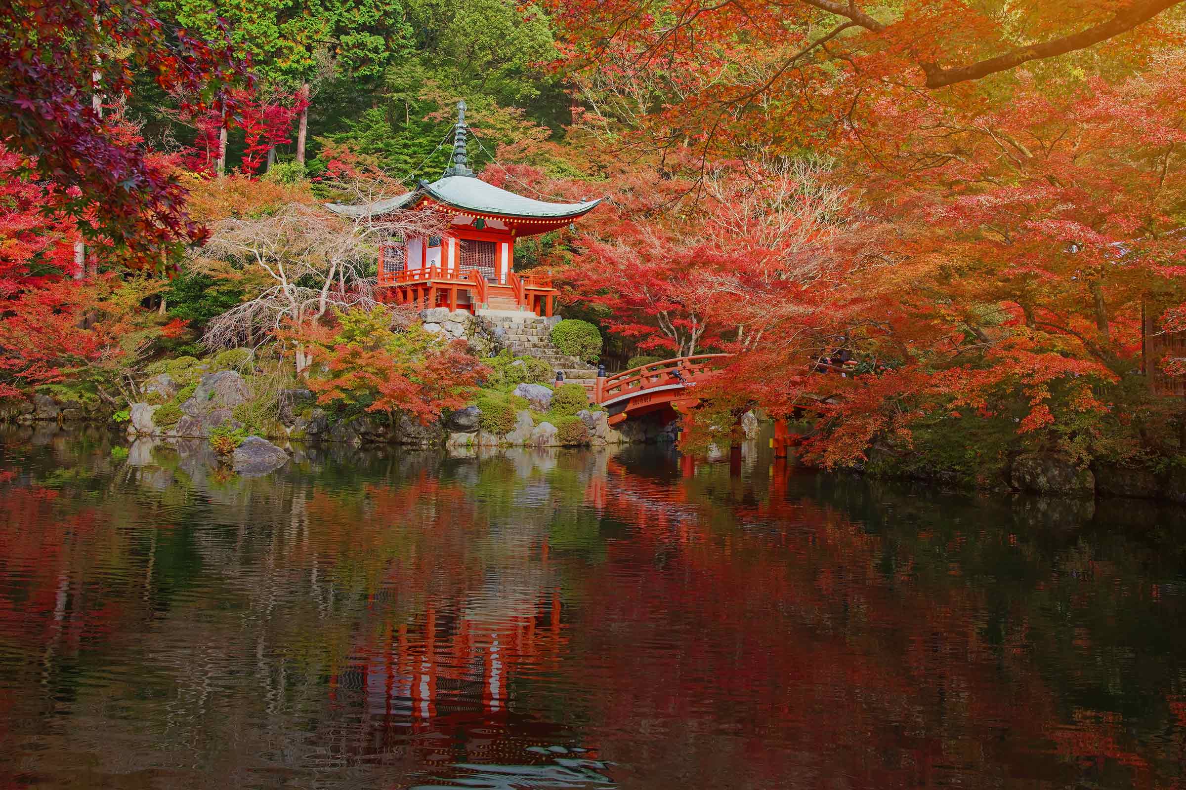 Japan Fall Foliage Guide 2019