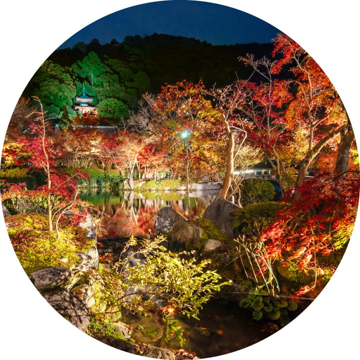 Autumn Colors Light-Up and Kaiseki Course Dinner at Eikando Temple in Kyoto