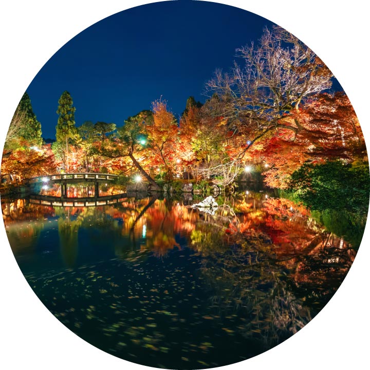 Eikando & Chion-in Temple Kyoto Fall Foliage Light-up Bus Tour