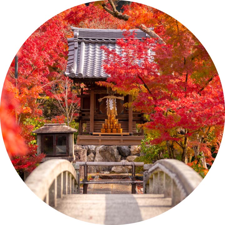 Fall Foliage and Elegant Tofu Lunch at Eikando Zenrinji Temple in Kyoto
