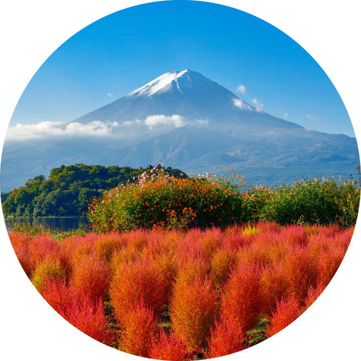 Mt. Fuji 5th Station Autumn Hiking & Oishi Park Kochia Viewing Tour from Tokyo