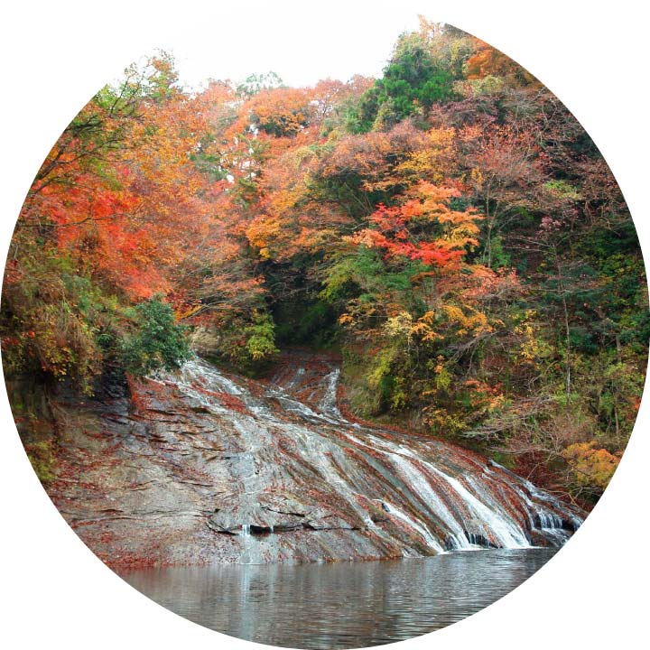 Yoro Valley, Nomizo Waterfalls and Tokyo German Village Autumn Overnight Tour