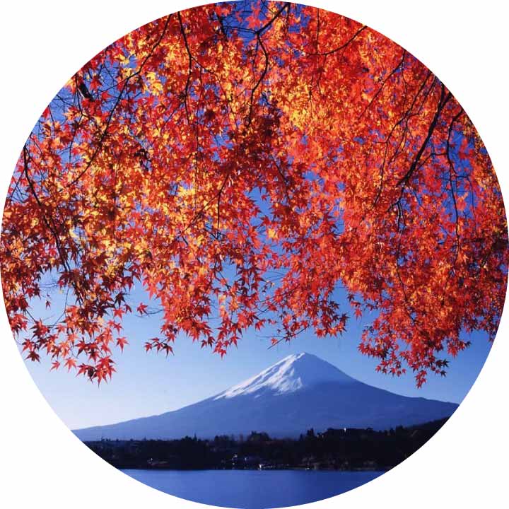 Mt. Fuji Tours from Tokyo - Kawaguchi Maple Corridor Fall Tours