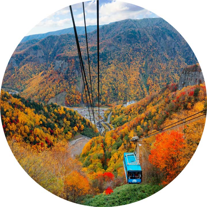 Hokkaido Fall Foliage Tour to Daisetsuzan & Kurodake Ropeway Ride from Sapporo