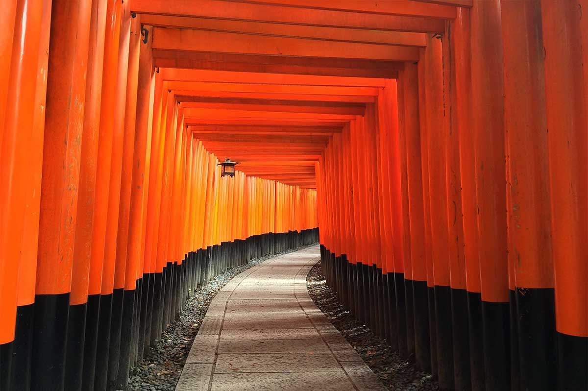 Fushimi Inari Temple Visit and Sake Tasting Private Tour in Kyoto