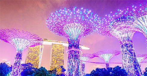 Supertree - Gardens by the Bay