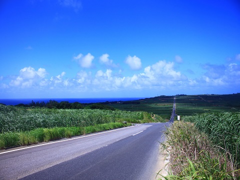 奄美大島・奄美群島 喜界島 出発の観光・オプショナルツアーはこちらから。
