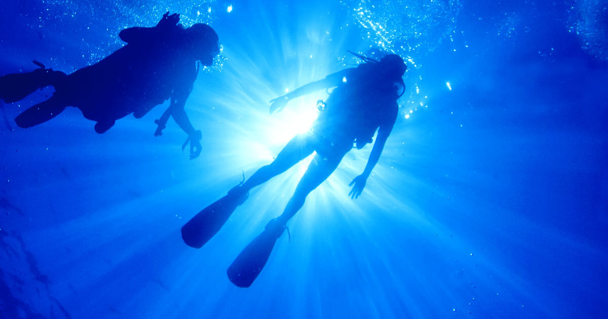 ダイビングライセンスを取って 思いっきり遊ぼう 海の中の地球