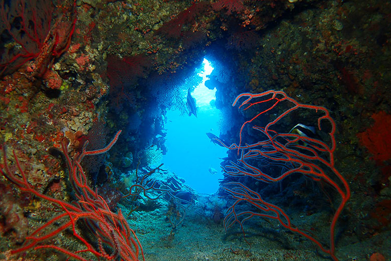 海中洞窟