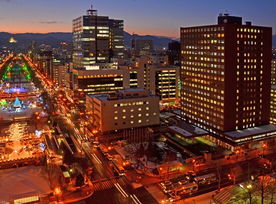 【觀光計程車包車遊】北海道觀光資格證的司機帶您暢遊札幌市（道內全區出發・接送服務）